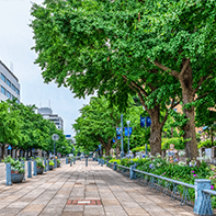 グランモール公園